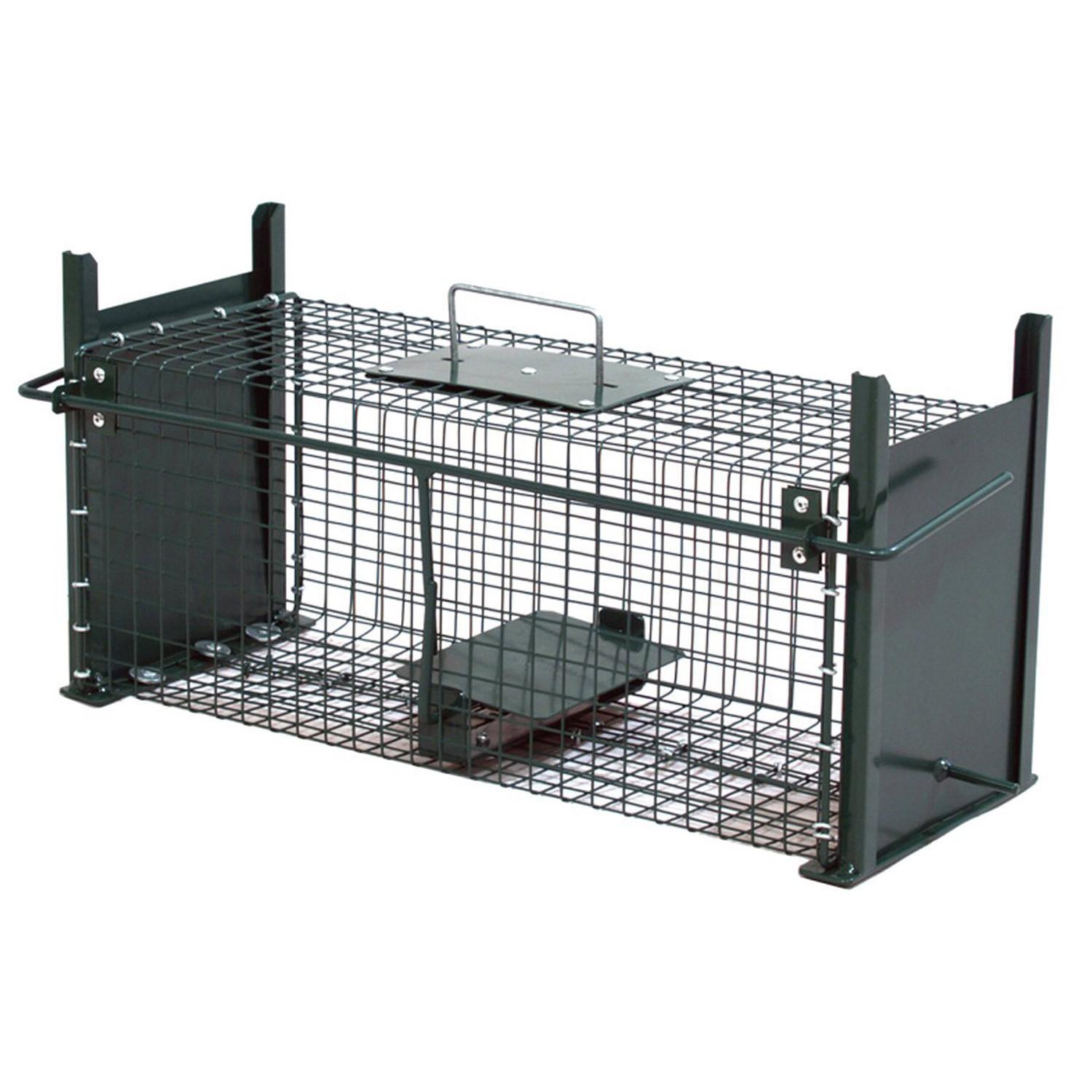 MOORLAND Safe 5006 – Lebendfalle 18 x 18 x 50 cm, 2 Eingänge, 1,8 mm Drahtgitter - Grün, Holz (18/18/50cm) - Moorland