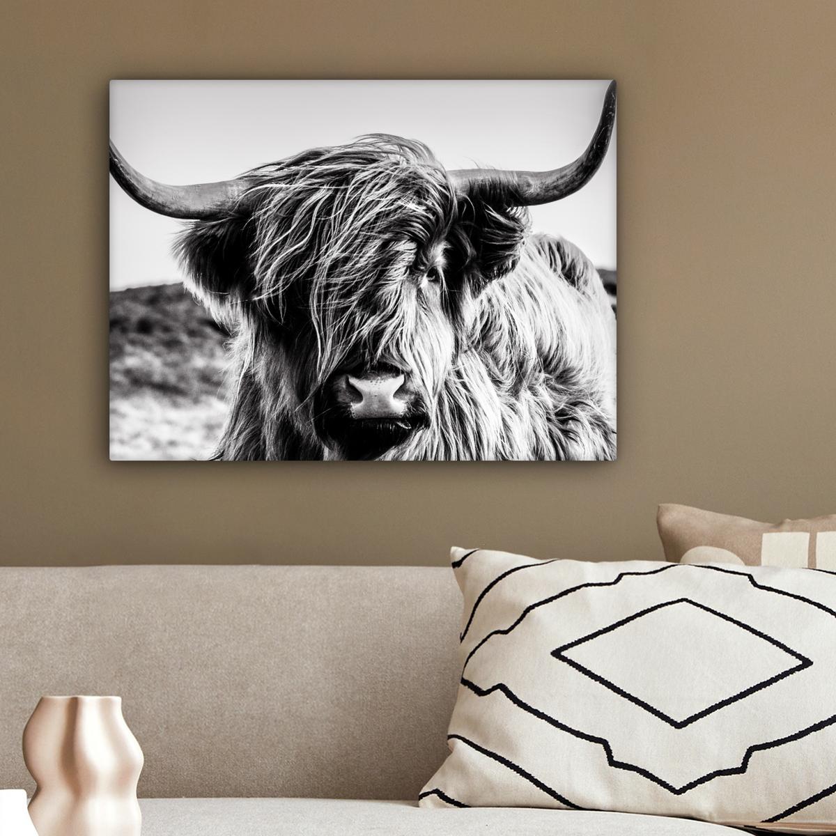 LEINWANDBILD Kuh - Schottischer Hochländer - Schwarz - Weiß - Tier - Natur - Wildtiere Wandbild 40x30 cm - Schwarz, Textil (40/30cm) - MuchoWow