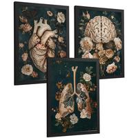 POSTER Set aus 3 Anatomie Drucke und Dekorative Wandbilder mit Herz Gehirn Lungen Atmungssystem Florales Grün Gold Design Größe Schwarzer Rahmen A4 - Schwarz, Papier (21/29.7/3cm) - Nacnic