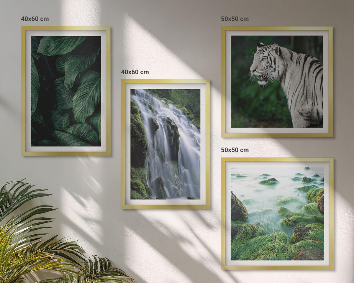 BILDER SET 4er Set - 50x50 cm & 40x60 cm Goldrahmen - Blätter des Weißen Tigerwasserfalls - Goldfarben, Kunststoff (50/50cm) - TULUP