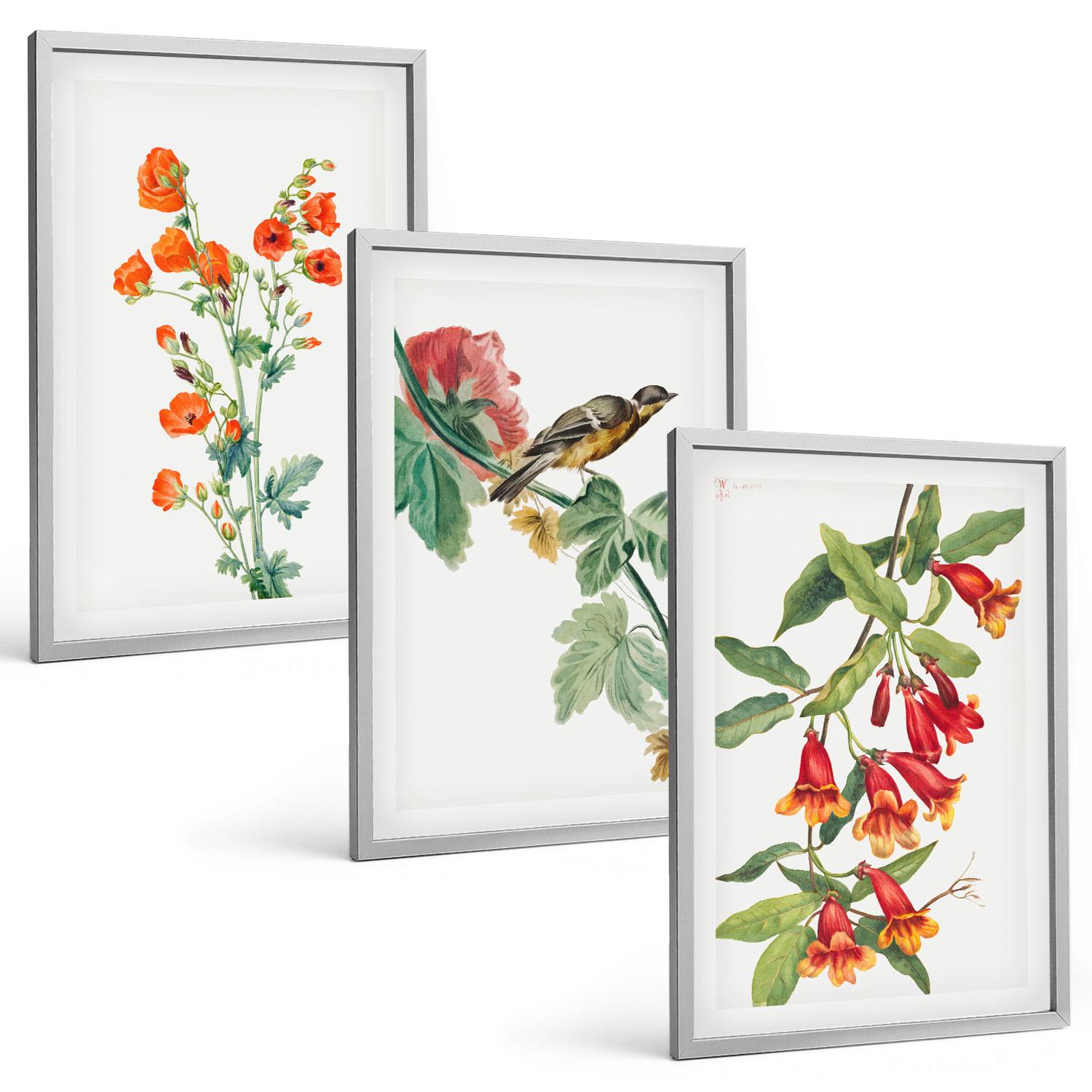 BILDER SET 3er Set - 40x60 cm Silberner Rahmen - Gemalte Blumen und ein Vogel - Silberfarben, Kunststoff (40/60cm) - TULUP