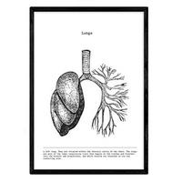 POSTER Anatomie Lunge A4 Schwarzer Rahmen - Schwarz, Papier (29.7/5/21cm) - Nacnic