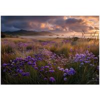 FOTOTAPETE Landschaft Blumen Beige 200x140 cm - Multicolor, Papier (200/140cm) - Wallarena