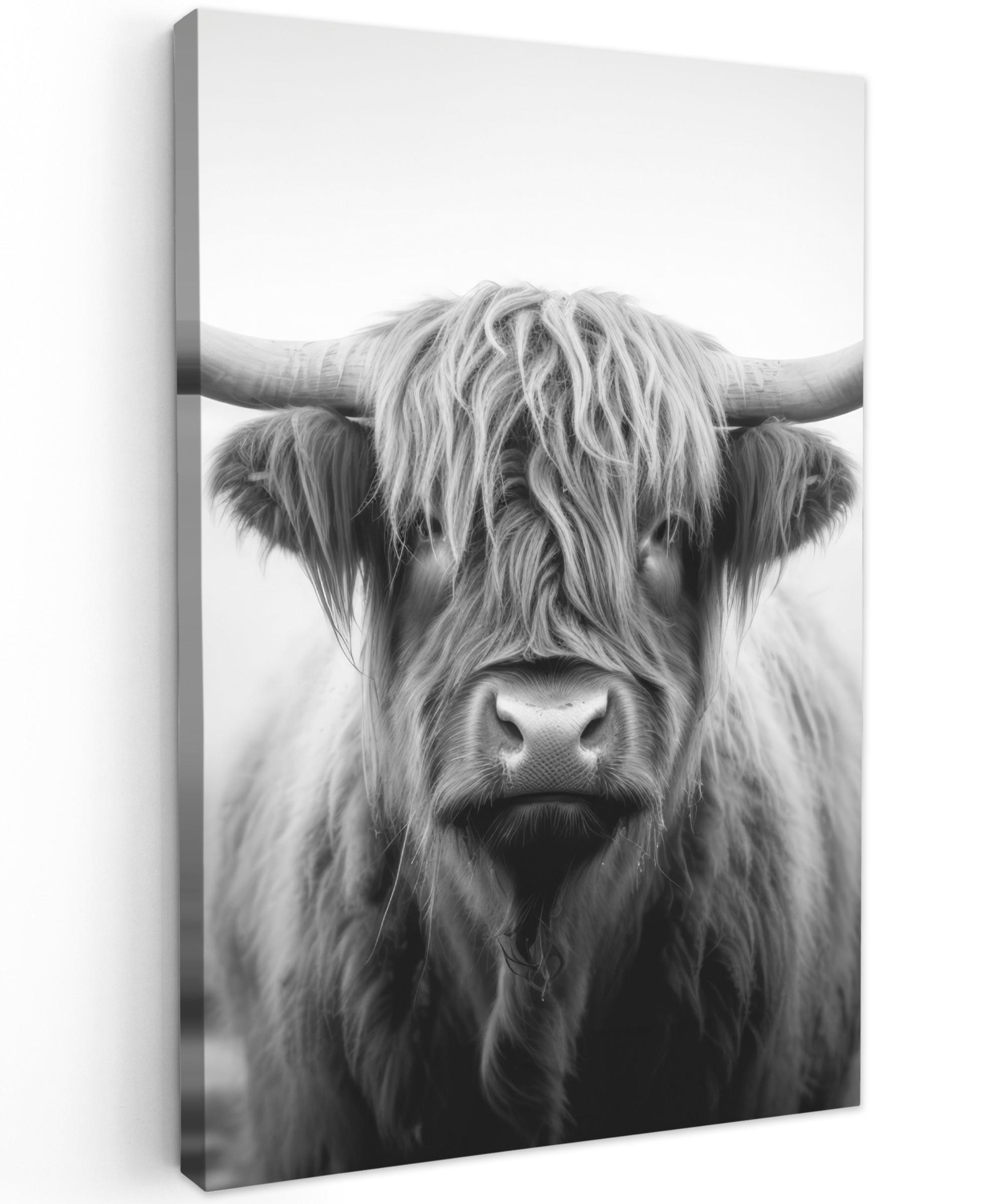 LEINWANDBILD Schottischer Highlander - Nebel - Schwarz - Weiß Deko Groß 90x140 cm - Grau, Textil (90/140cm) - MuchoWow