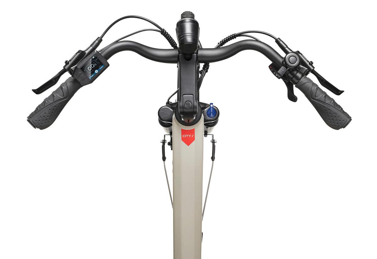 E-BIKE Cityrad RC680 Elektrofahrrad 28 Zoll Mittelmotor 10-Gang Kettenschaltung 705,6 Wh Pedelec - Grau, Metall (115cm) - Telefunken