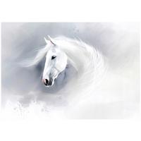 FOTOTAPETE Pferd Tiere Grau 312x219 cm - Multicolor, Textil (312/219cm) - Wallarena