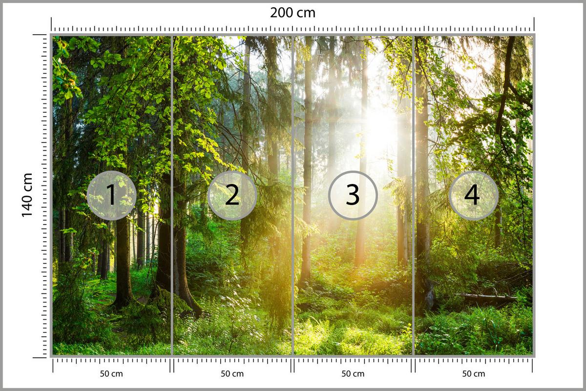 FOTOTAPETE für Wohnzimmer Sonniger Wald Bäume Pflanzen Natur Gras 200x140 - Multicolor, Papier (200/140cm) - Muralo