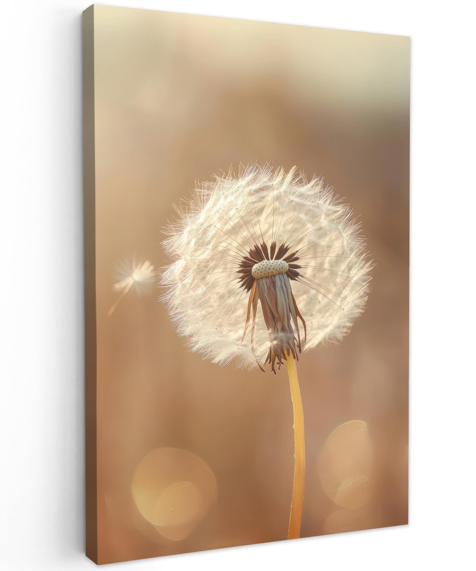 LEINWANDBILD Löwenzahn - Beige - Natur - Blume Wanddeko 40x60 cm - Hellbraun, Textil (40/60cm) - MuchoWow