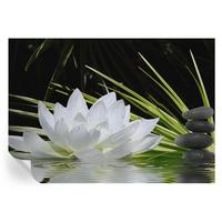 FOTOTAPETE 208x146 cm - Lilienmeditation - Weiß, Textil (208/146cm) - Wallfluent