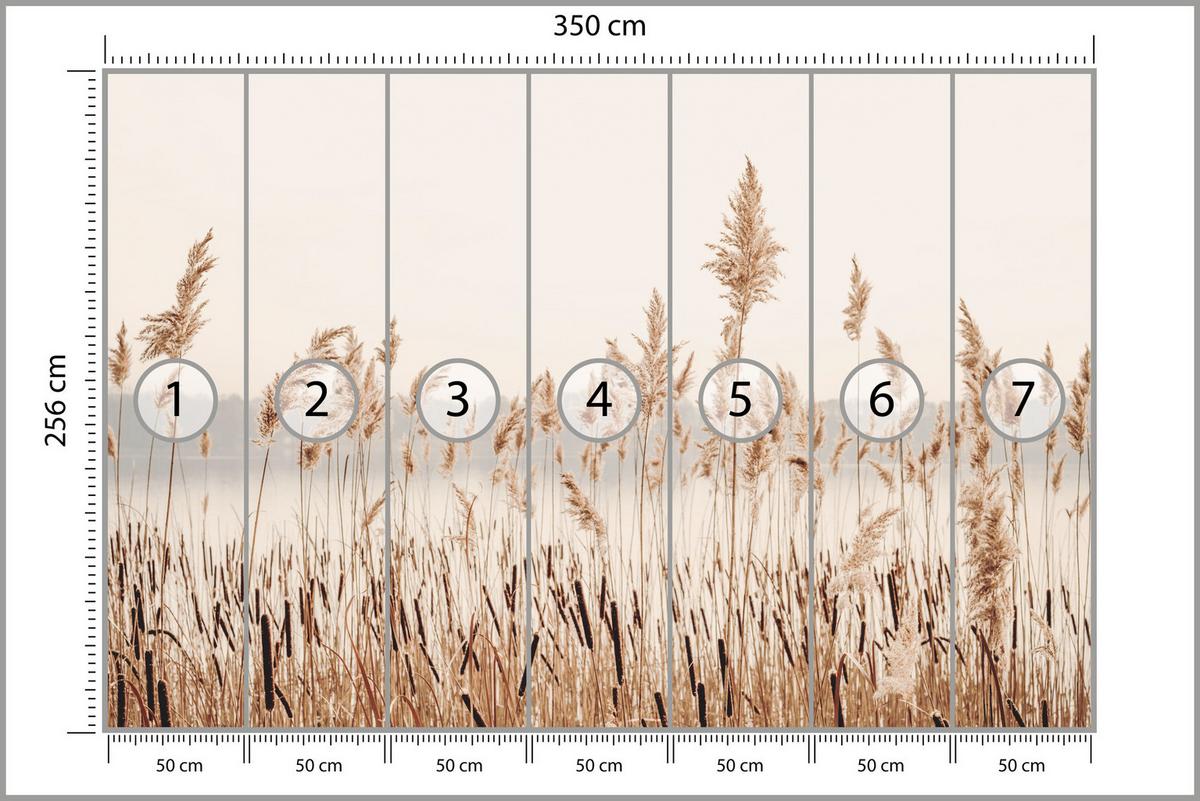 FOTOTAPETE für Wohnzimmer Pflanzen Natur 350x256 - Beige/Braun, Papier (350/256cm) - Muralo