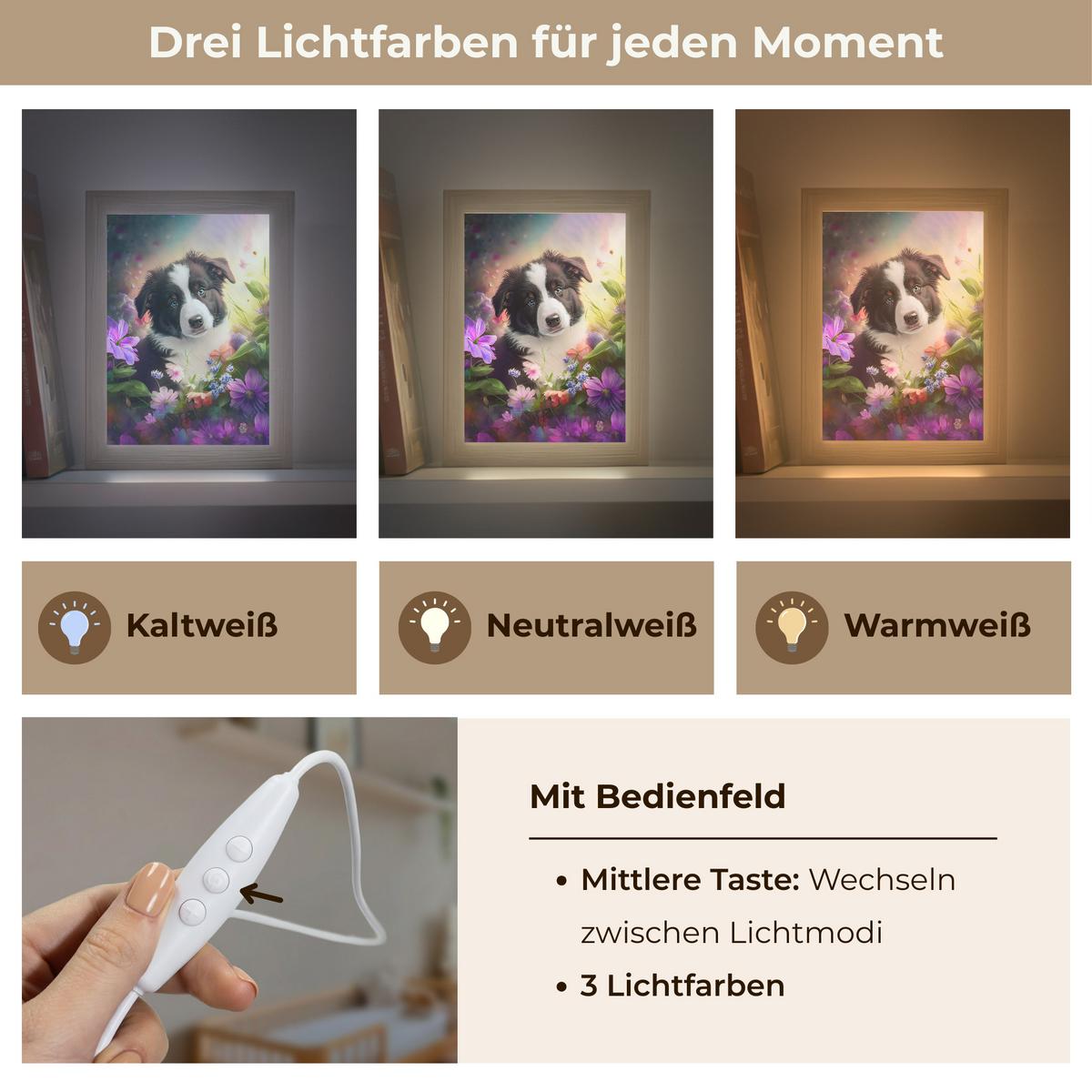 NACHTTISCHLAMPE Welpe - Sonne - Blumen - Natur - Border Collie - Hund 15x20 cm - Violett, Holzwerkstoff (8/15/20cm) - OnlyWow