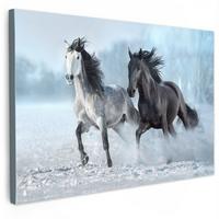 LEINWANDBILD Pferde - Winter - Tiere - Natur - Schnee Gemälde 60x40 cm - Anthrazit, Textil (60/40cm) - MuchoWow