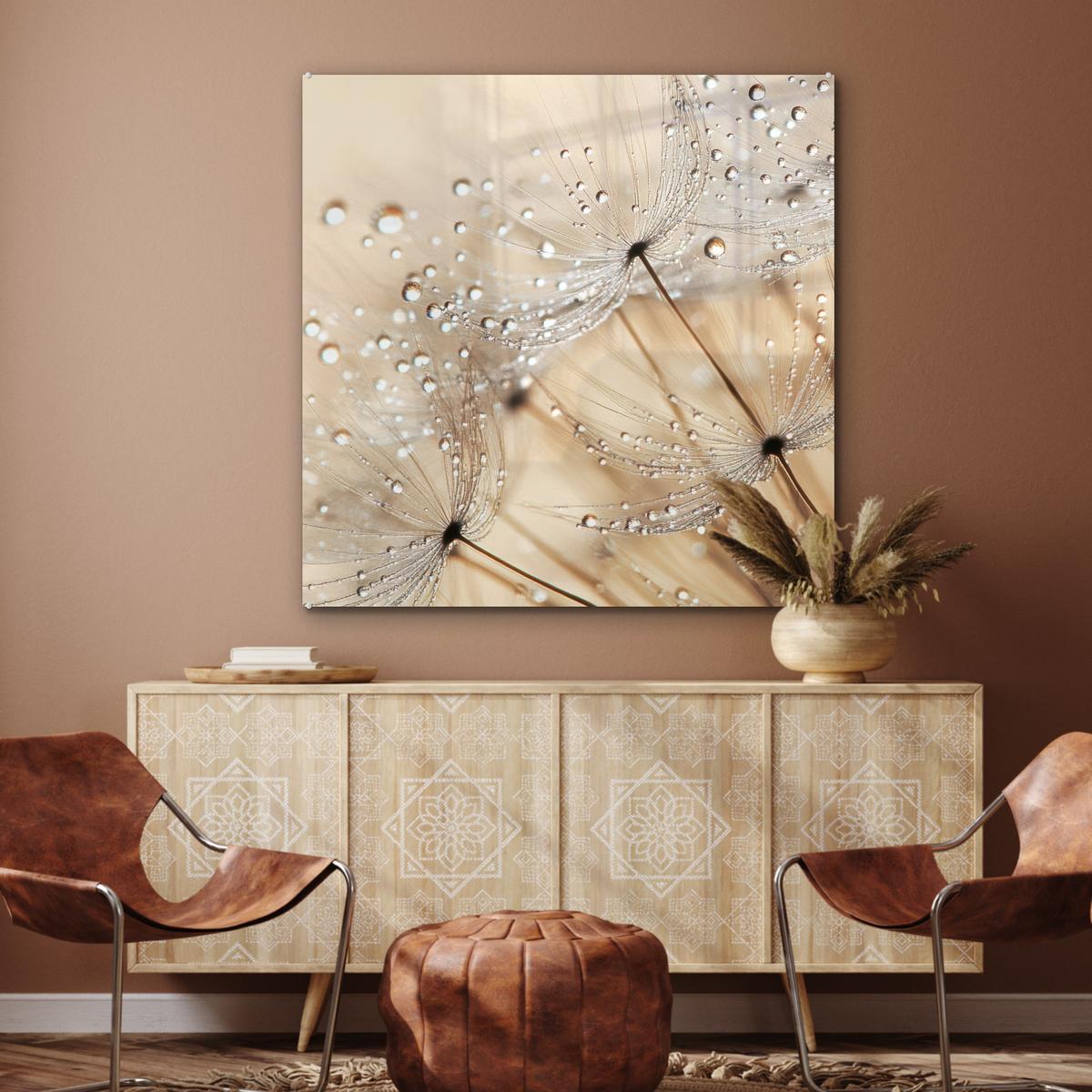 ACRYLGLASBILD Löwenzahn - Abstrakt - Natur - Beige 90x90 cm - Braun, Glas (90/90cm) - MuchoWow