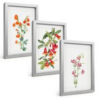 BILDER SET 3er Set - 20x30 cm Silberner Rahmen - Vintage-Retro-Blumenmalerei - Silberfarben, Kunststoff (20/30cm) - TULUP