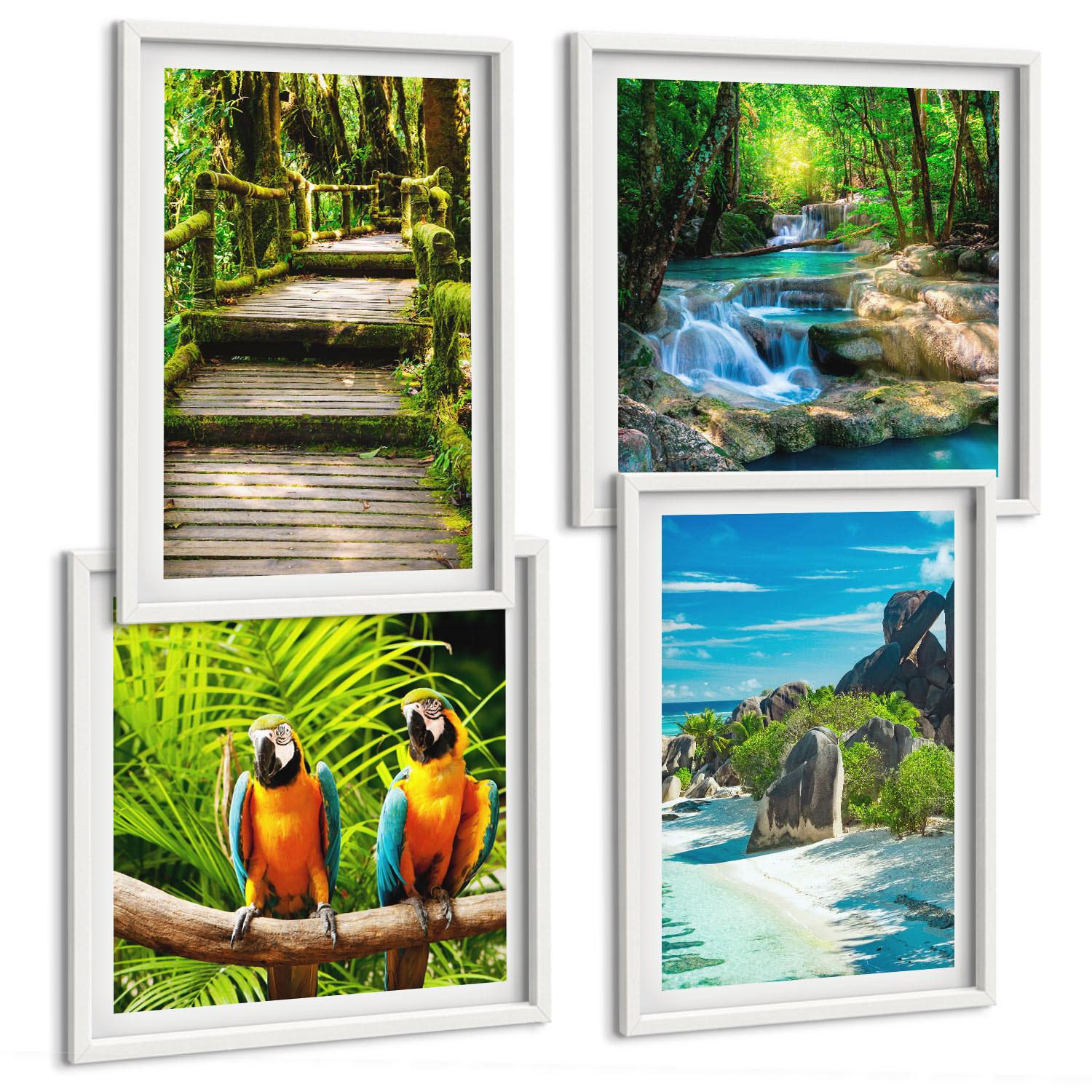 BILDER SET 4er Set - 50x50 cm & 40x60 cm Weißer Rahmen - Tropischer Wald Papageienwasserfall - Weiß, Kunststoff (50/50cm) - TULUP