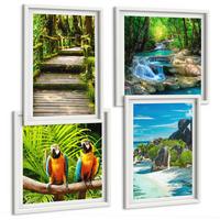 BILDER SET 4er Set - 50x50 cm & 40x60 cm Weißer Rahmen - Tropischer Wald Papageienwasserfall - Weiß, Kunststoff (50/50cm) - TULUP