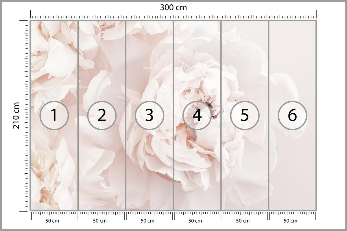 FOTOTAPETE für Schlafzimmer Pfingstrosen Blumen 3D 300x210 - Beige/Rosa, Papier (300/210cm) - Muralo