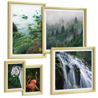 BILDER SET 5er Set - 50x50 cm & 20x30 cm & 40x60 cm Goldrahmen - Tiger Wasserfall Flamingos Natur - Goldfarben, Kunststoff (40/60cm) - TULUP