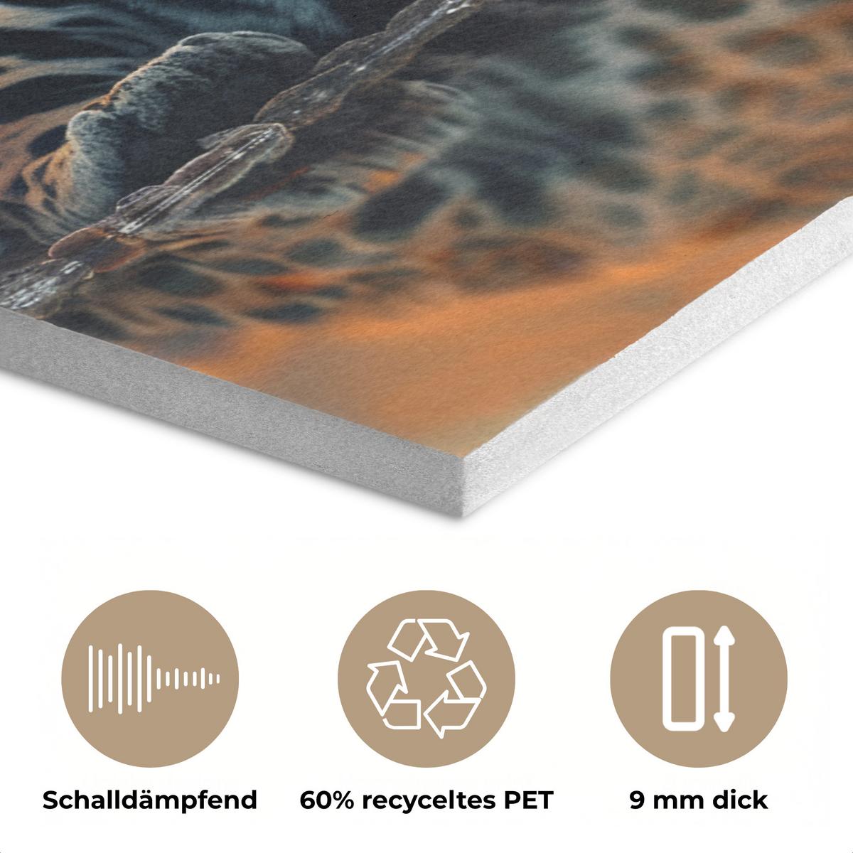 AKUSTIKBILD Natur - Leopard - Tier - Sonnenuntergang - Modern Wanddeko 70x50 cm - Orange, Kunststoff (70/50/0.9cm) - MuchoWow