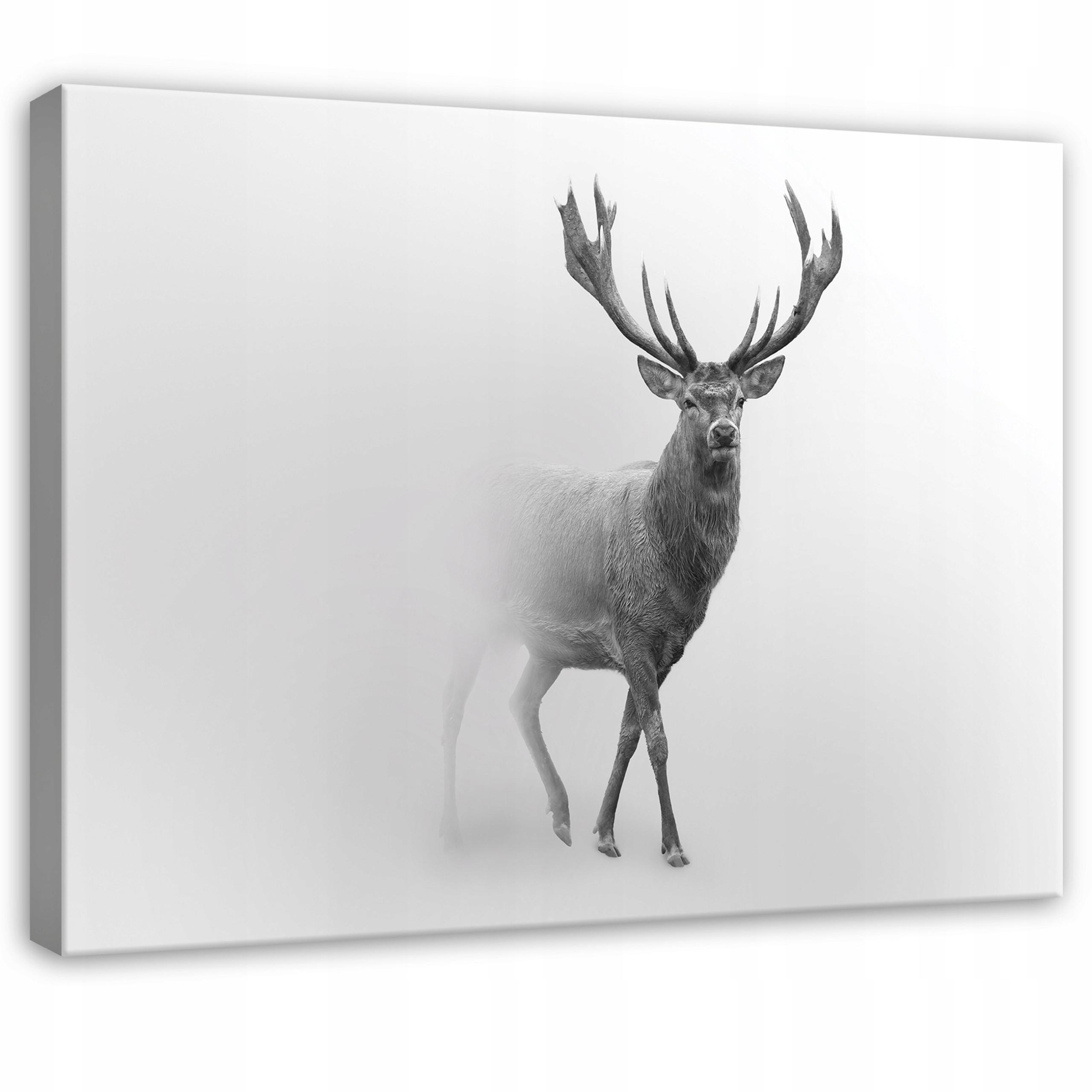 LEINWANDBILD Reh Nebel Grau 120x80 cm - Multicolor, Holzwerkstoff (120/80cm) - Wallarena