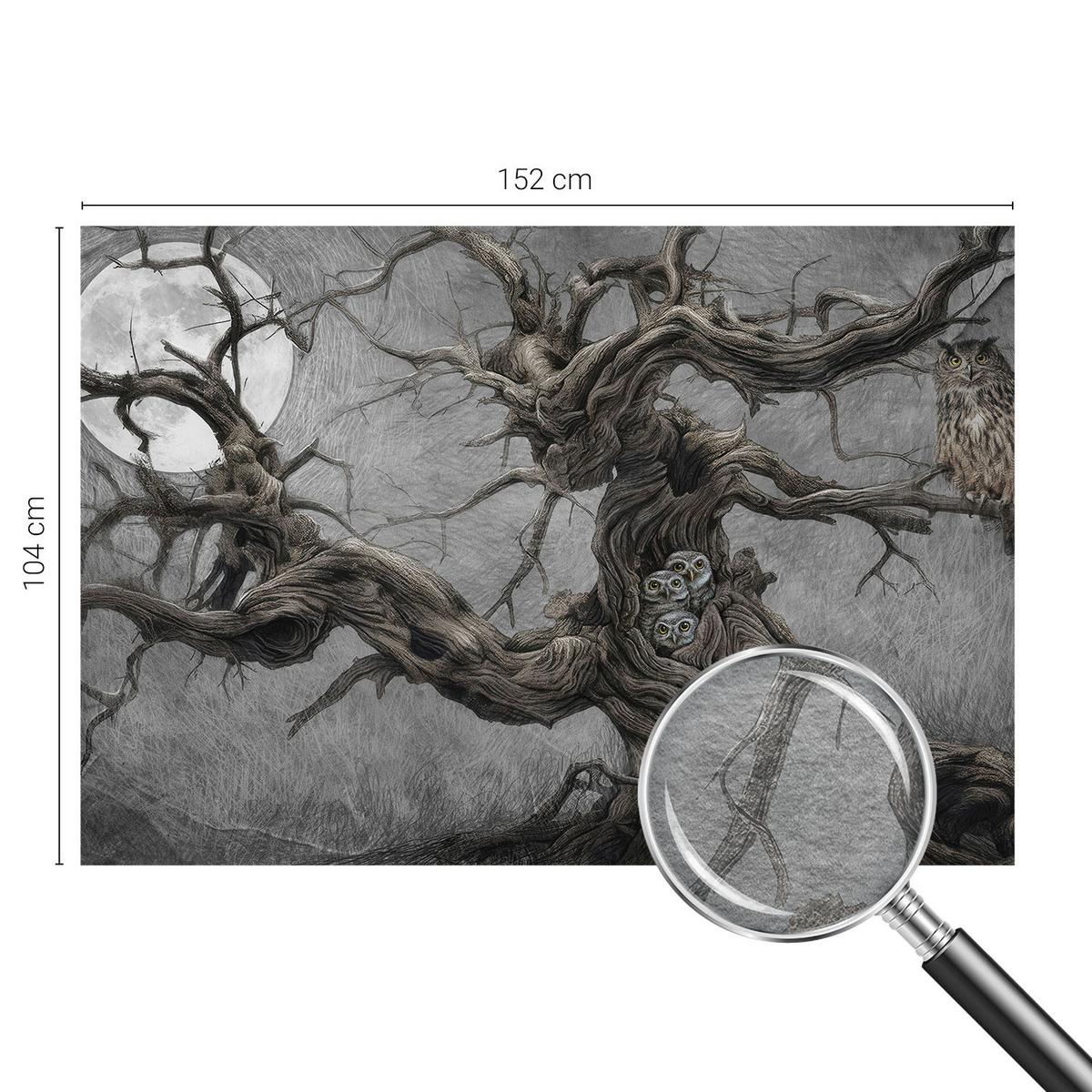 FOTOTAPETE 152x104 cm - Geheimnisvolle Eule - Grau, Textil (152/104cm) - Wallfluent