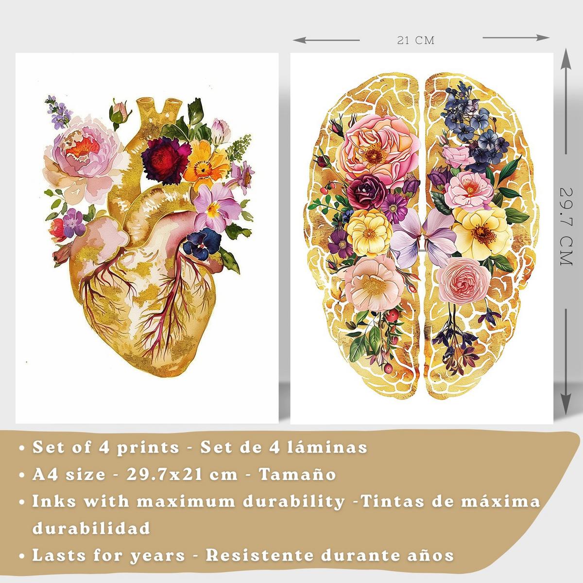 POSTER Set aus 4 Anatomie Mensch Drucke und mit Herz Gehirn Schädel Lungen Luftröhre Bronchien Goldener Floraler Stil Größe Leichter Holzrahmen A4 - Beige, Papier (21/29.7/3cm) - Nacnic