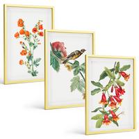 BILDER SET 3er Set - 40x60 cm Goldrahmen - Gemalte Blumen und ein Vogel - Goldfarben, Kunststoff (40/60cm) - TULUP