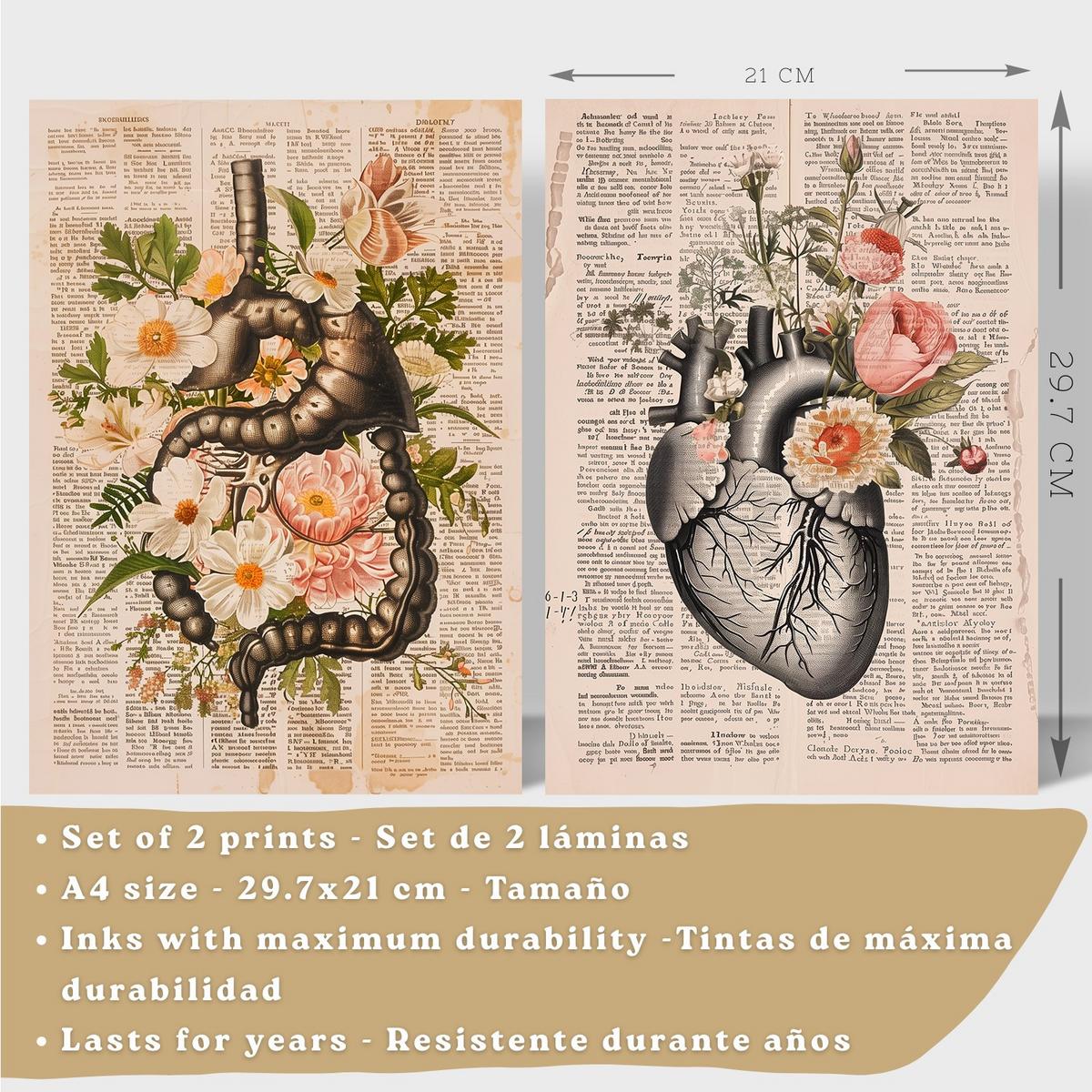 POSTER Set aus 2 Anatomie Mensch Drucke und Wandbilder mit Verdauungssystem Darm und Herz Klassisches Florales Design Größe Leichter Holzrahmen A4 - Beige, Papier (21/29.7/3cm) - Nacnic