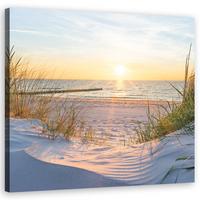 WANDBILD Sonnenuntergang am Strand 60x60cm - Beige, Textil (60/60cm) - Feeby
