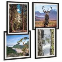 BILDER SET 4er Set - 50x50 cm & 40x60 cm Schwarzer Rahmen - Straße Wald Berge Hirsch Natur - Schwarz, Kunststoff (50/50cm) - TULUP