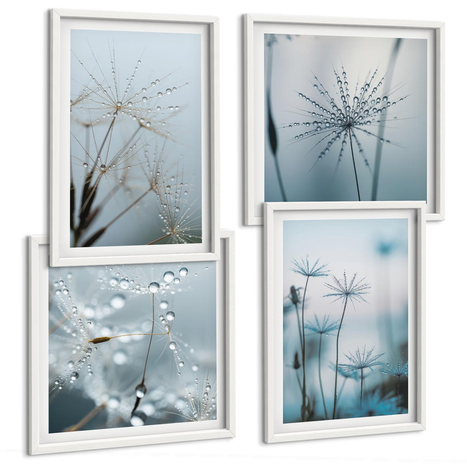 BILDER SET 4er Set - 50x50 cm & 40x60 cm Weißer Rahmen - Löwenzahn-Wassertropfen - Weiß, Kunststoff (50/50cm) - TULUP