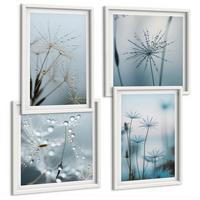 BILDER SET 4er Set - 50x50 cm & 40x60 cm Weißer Rahmen - Löwenzahn-Wassertropfen - Weiß, Kunststoff (50/50cm) - TULUP