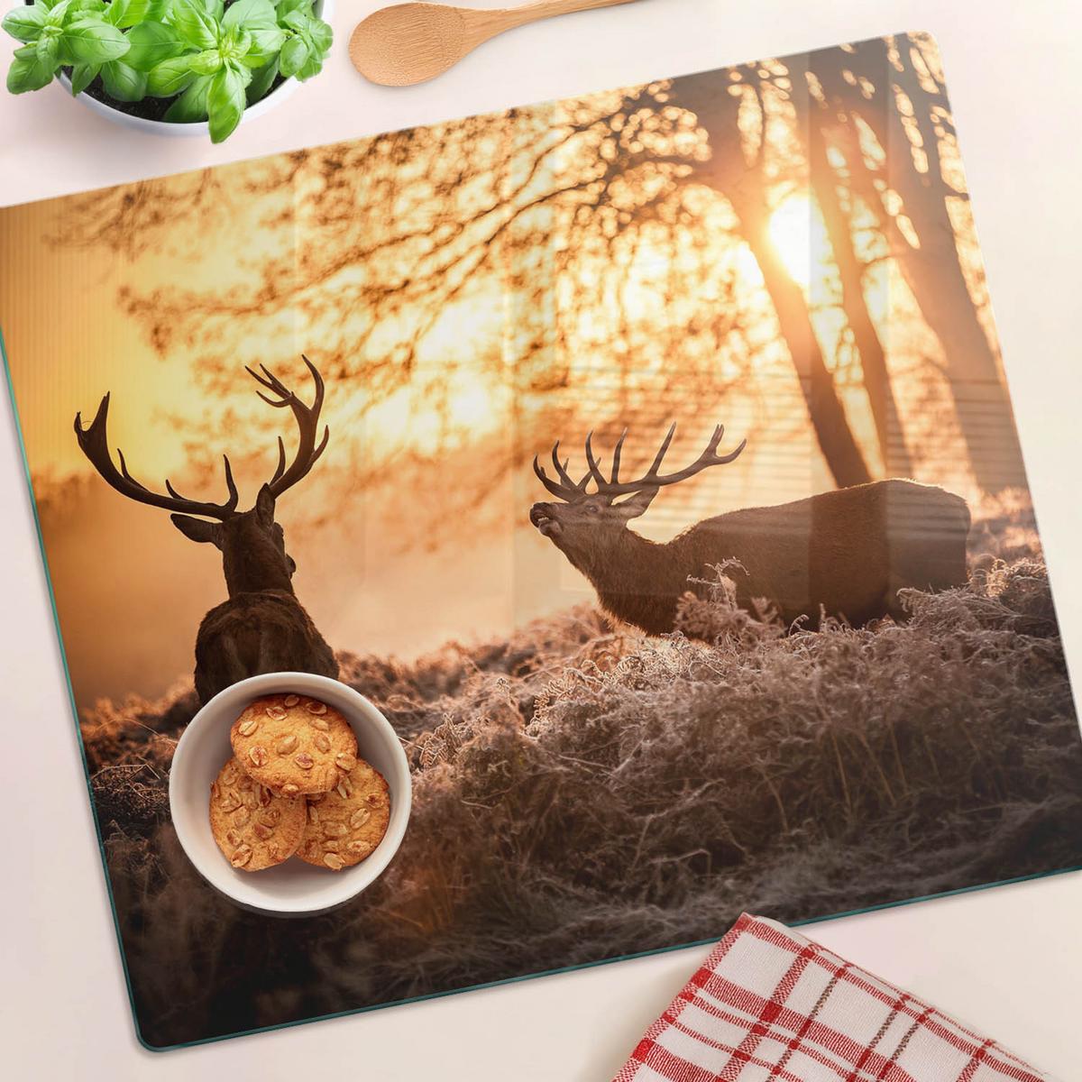 GLASPLATTE 60x52 cm Sonnenaufgang über dem Hirsch - Schwarz Hochglanz/Grau, Glas (60/0.4/52cm) - TULUP