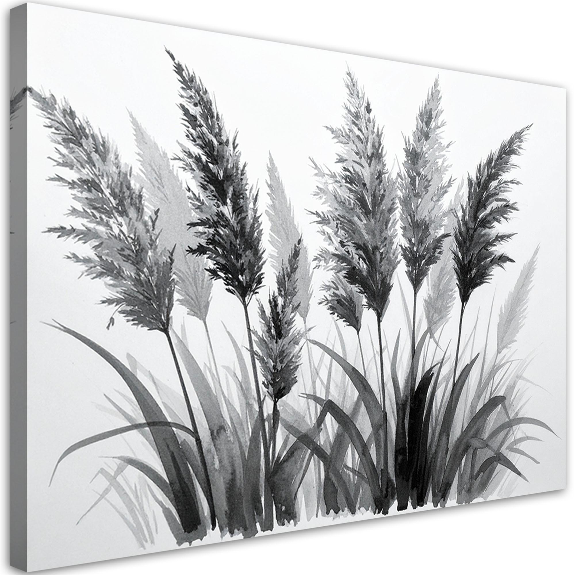 LEINWANDBILD Pampasgras 90x60cm - Schwarz, Textil (90/60cm) - Feeby