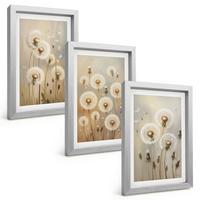 BILDER SET 3er Set - 20x30 cm Silberner Rahmen - Weiße Löwenzahnblüten auf hellem Hintergrund - Silberfarben, Kunststoff (20/30cm) - TULUP