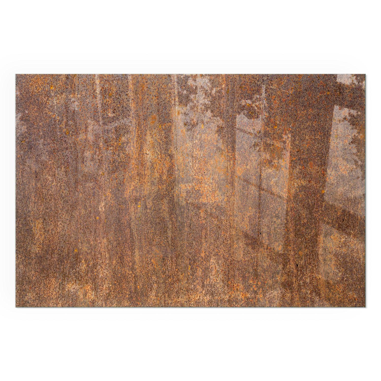 GLASPLATTE für Kamin 60x40 cm - Braun, Glas (60/40/0.4cm) - TULUP