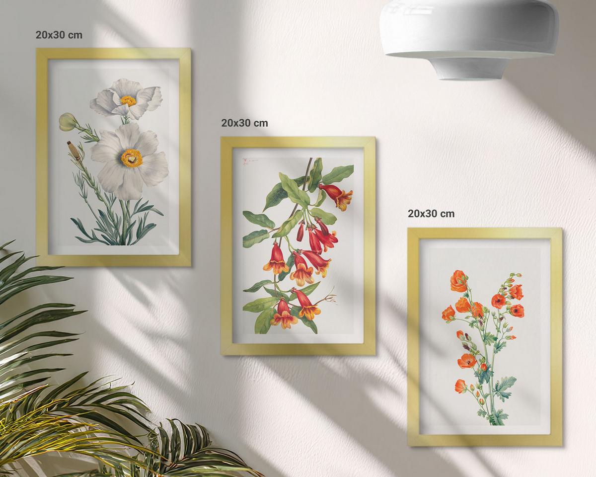 BILDER SET 3er Set - 20x30 cm Goldrahmen - Retro-Blumenarrangements - Goldfarben, Kunststoff (20/30cm) - TULUP