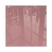 GLASPLATTE für Kamin 60x60 cm - Pink, Glas (60/60/0.4cm) - TULUP
