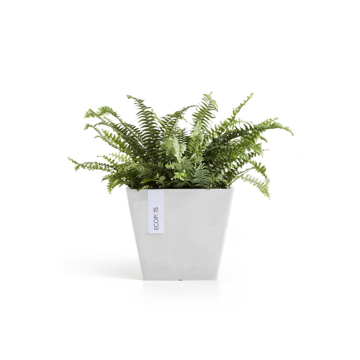 BLUMENTOPF Rotterdam 20,3/20,3/17,8 cm Weiß - Weiß, Kunststoff (20.3/17.8cm) - Ecopots