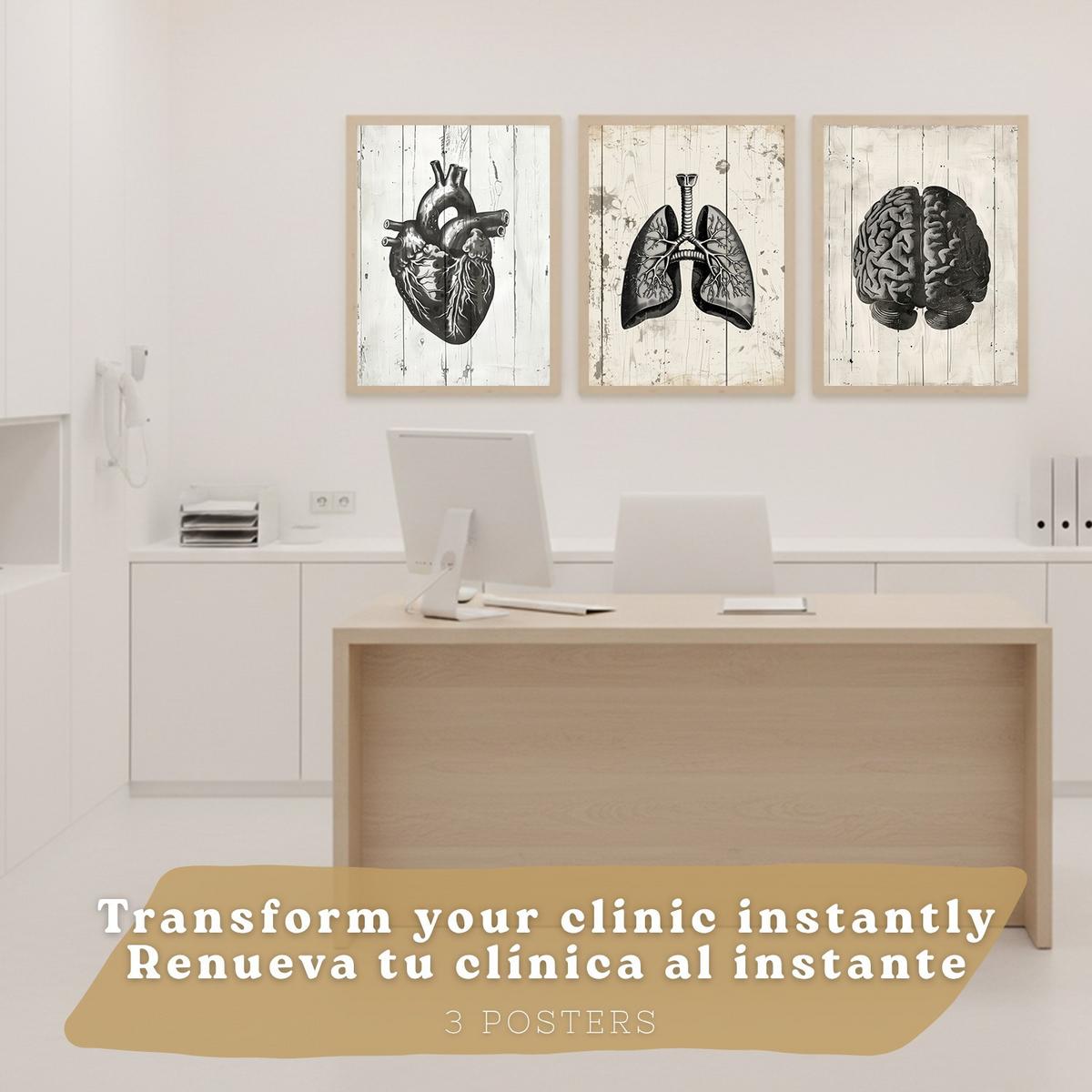 POSTER Set aus 3 Anatomie Mensch Drucke und mit Gehirn Herz Lungen Luftröhre Bronchien Industrielles Schwarz Weiß Design Größe Leichter Holzrahmen A4 - Beige, Papier (21/29.7/3cm) - Nacnic
