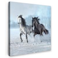 LEINWANDBILD Pferde - Winter - Tiere - Natur - Schnee Deko Groß 90x90 cm - Anthrazit, Textil (90/90cm) - MuchoWow