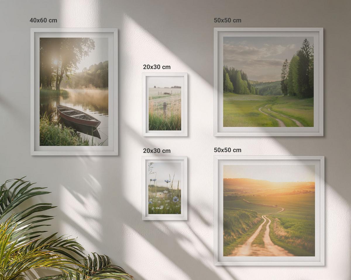BILDER SET 5er Set - 50x50 cm & 20x30 cm & 40x60 cm Weißer Rahmen - Landschaftswiesenstraße West - Weiß, Kunststoff (40/60cm) - TULUP