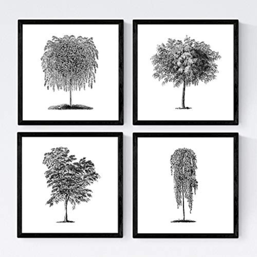 POSTER Set mit 4 Blättern der Bäume unterschiedlicher Blätter weiß 20x20cm Schwarzer Rahmen - Schwarz, Papier (20/3cm) - Nacnic