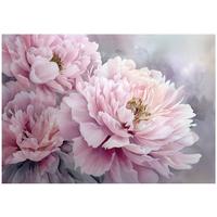 FOTOTAPETE Blumen Pfingstrosen Rosa 150x105 cm - Multicolor, Papier (150/105cm) - Wallarena