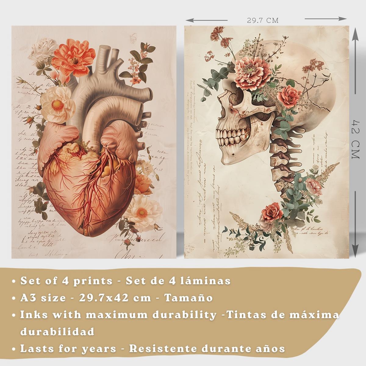 POSTER Set aus 4 Vintage Anatomie Drucke und Wandbilder mit Blumen Herz Lungen Schädel und Gehirn Wanddekoration Größe Leichter Holzrahmen A3 - Beige, Papier (29.7/42/3cm) - Nacnic