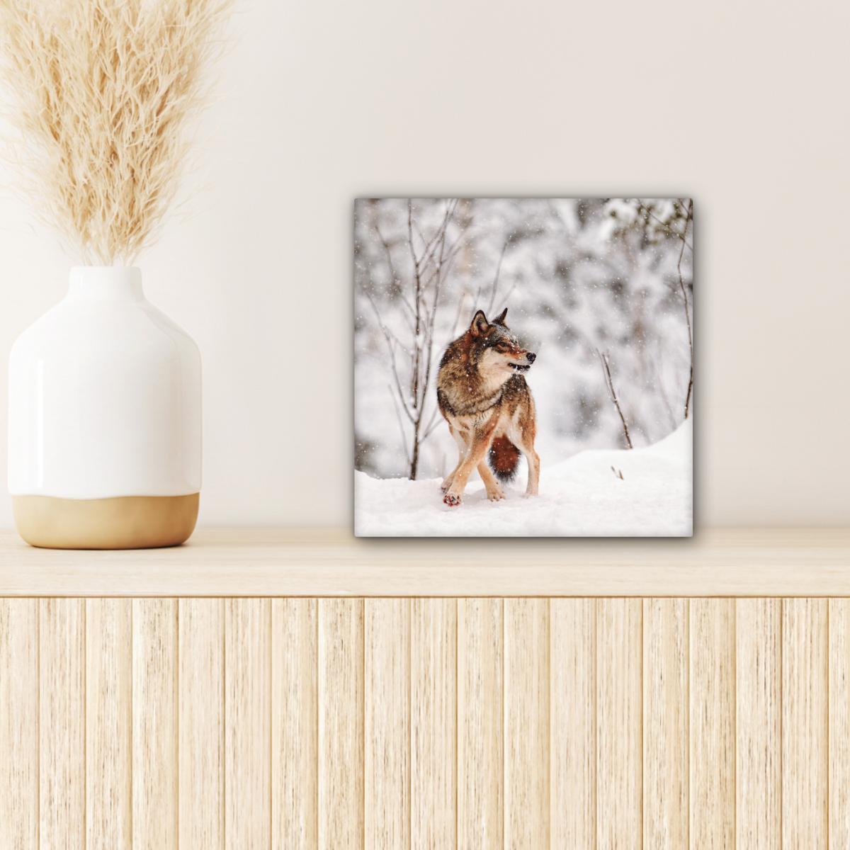 LEINWANDBILD Wolf - Winter - Schnee - Natur - Tiere Deko Wohnzimmer 20x20 cm - Haselnussfarben, Textil (20/20cm) - MuchoWow