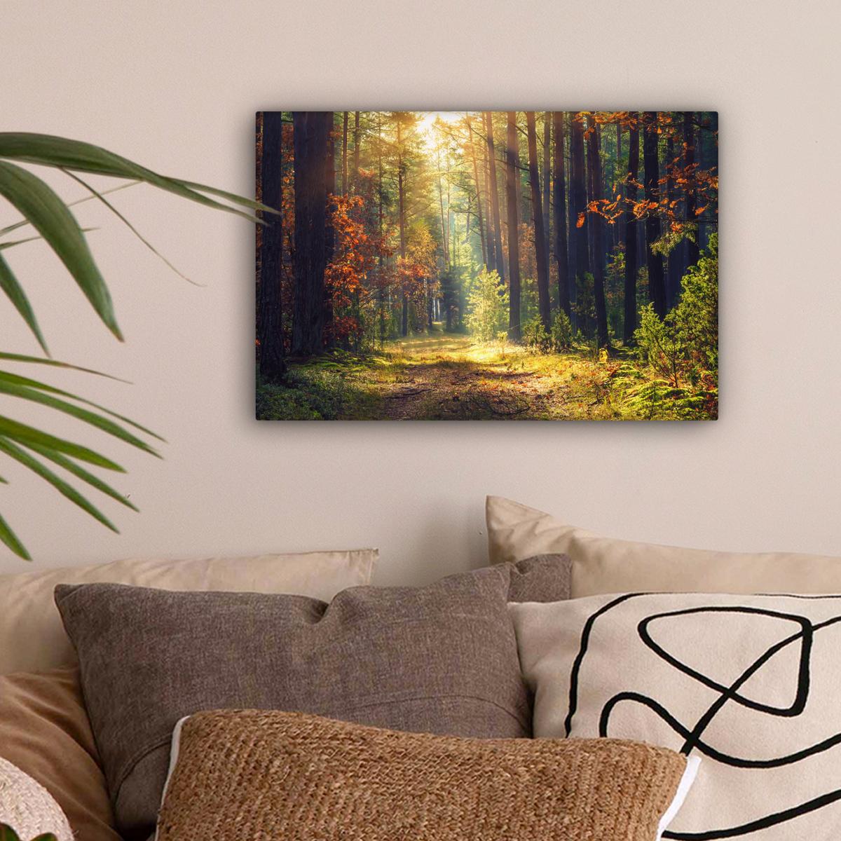 LEINWANDBILD Wald - Herbst - Bäume Deko Schlafzimmer 30x20 cm - Dunkelgrün, Textil (30/20cm) - MuchoWow