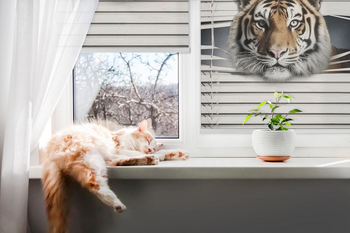 INNENROLLO - Fensterrollo - Rollo - 100x100 cm - Tiger - Grau, Kunststoff (100/100/0.5cm) - TULUP