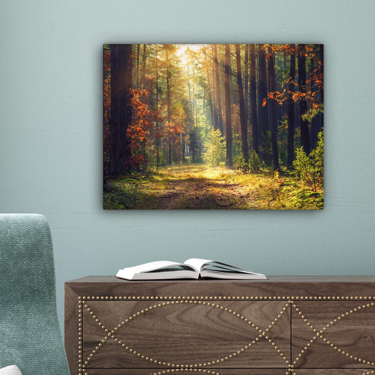 LEINWANDBILD Wald - Herbst - Bäume Wandbild 40x30 cm - Dunkelgrün, Textil (40/30cm) - MuchoWow