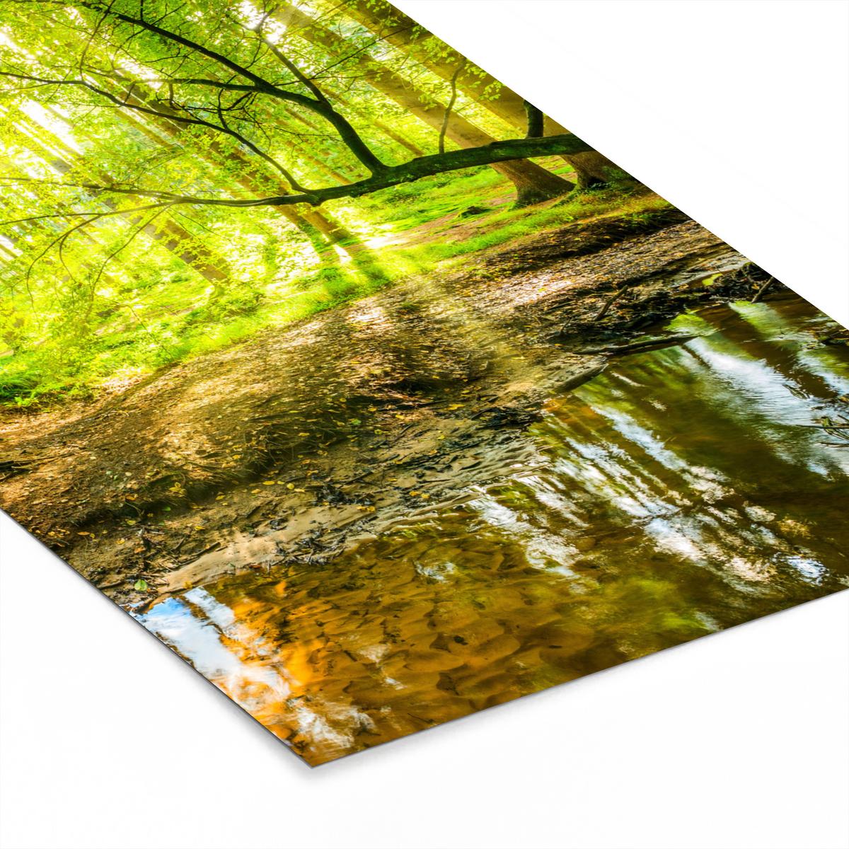 POSTER MIT RAHMENGERAHMTES BILD Wald - Landschaft - Wasser - Bäume - Sonne - Grün - Natur 60x90 cm - Grün, Papier (60/90cm) - MuchoWow